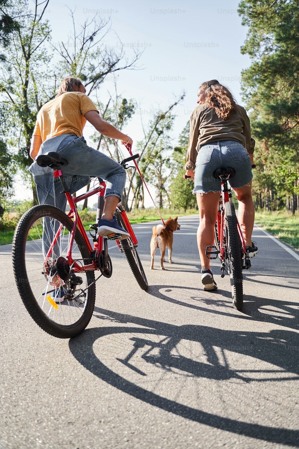 Young happy couple riding bicycles in the forest back to camera. Dog standing nearby. People, leisure and lifestyle concept