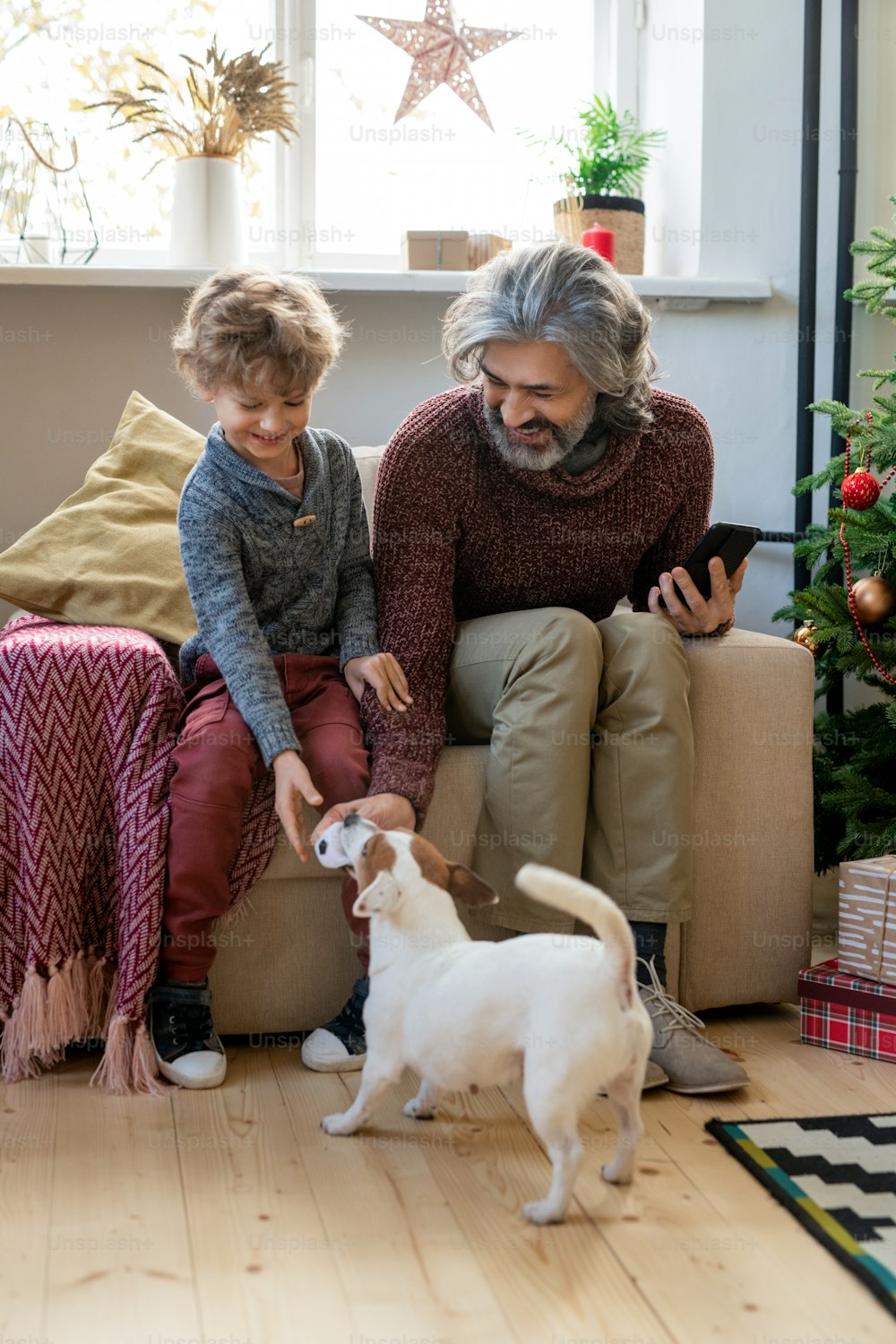 Bearded senior man and his cute little grandson playing with dog while sitting in armchair by decorated firtree against window on xmas eve
