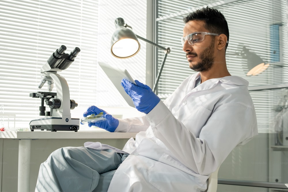 Junger männlicher Laborarbeiter in Handschuhen, Brillen und Weißkittel, der Online-Daten durchsieht, während er eine Probe von im Labor gezüchteten Sojasprossen untersucht