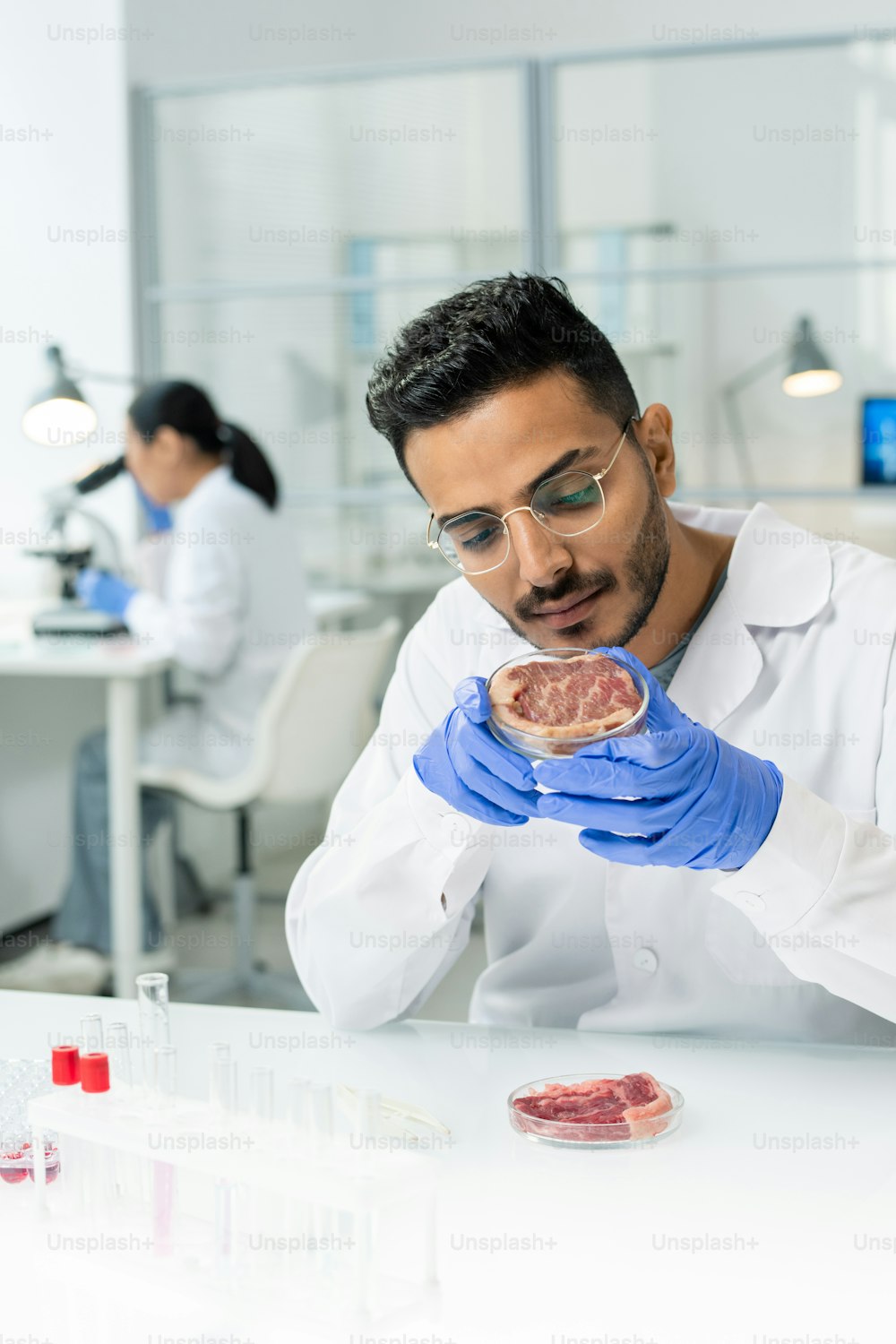 흰 코트를 입은 젊은 장갑을 낀 남성 연구원이 실험실에서 그 특성을 연구하면서 생 야채 고기 조각으로 페트리 접시를 들고 있습니다.