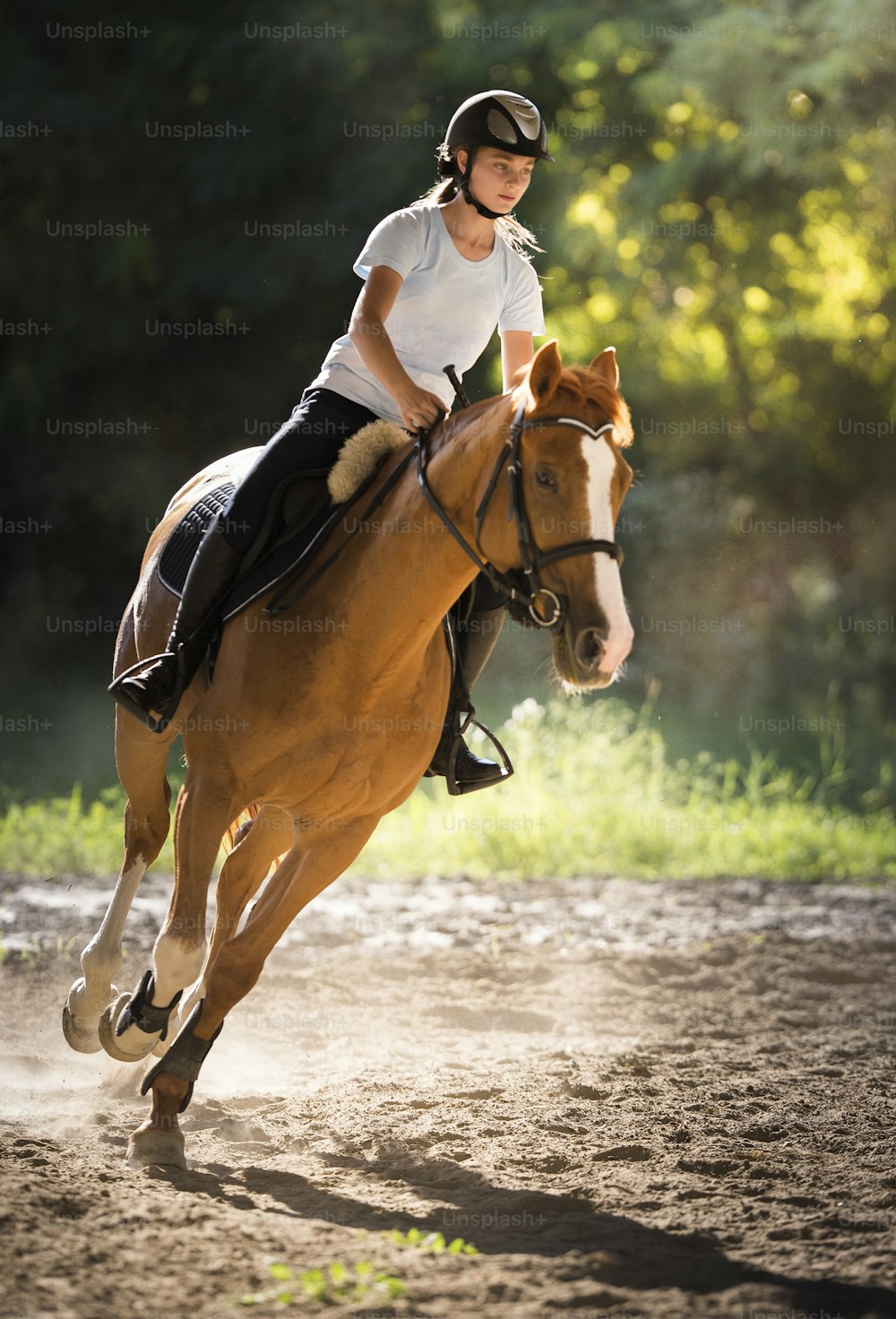 Young pretty girl riding a horse