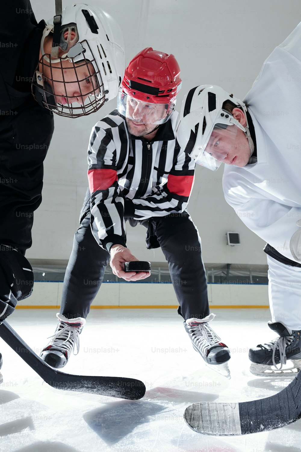 Hockey referee holding puck over ice rink while two rivals with sticks looking at it while preparing to shoot it during training