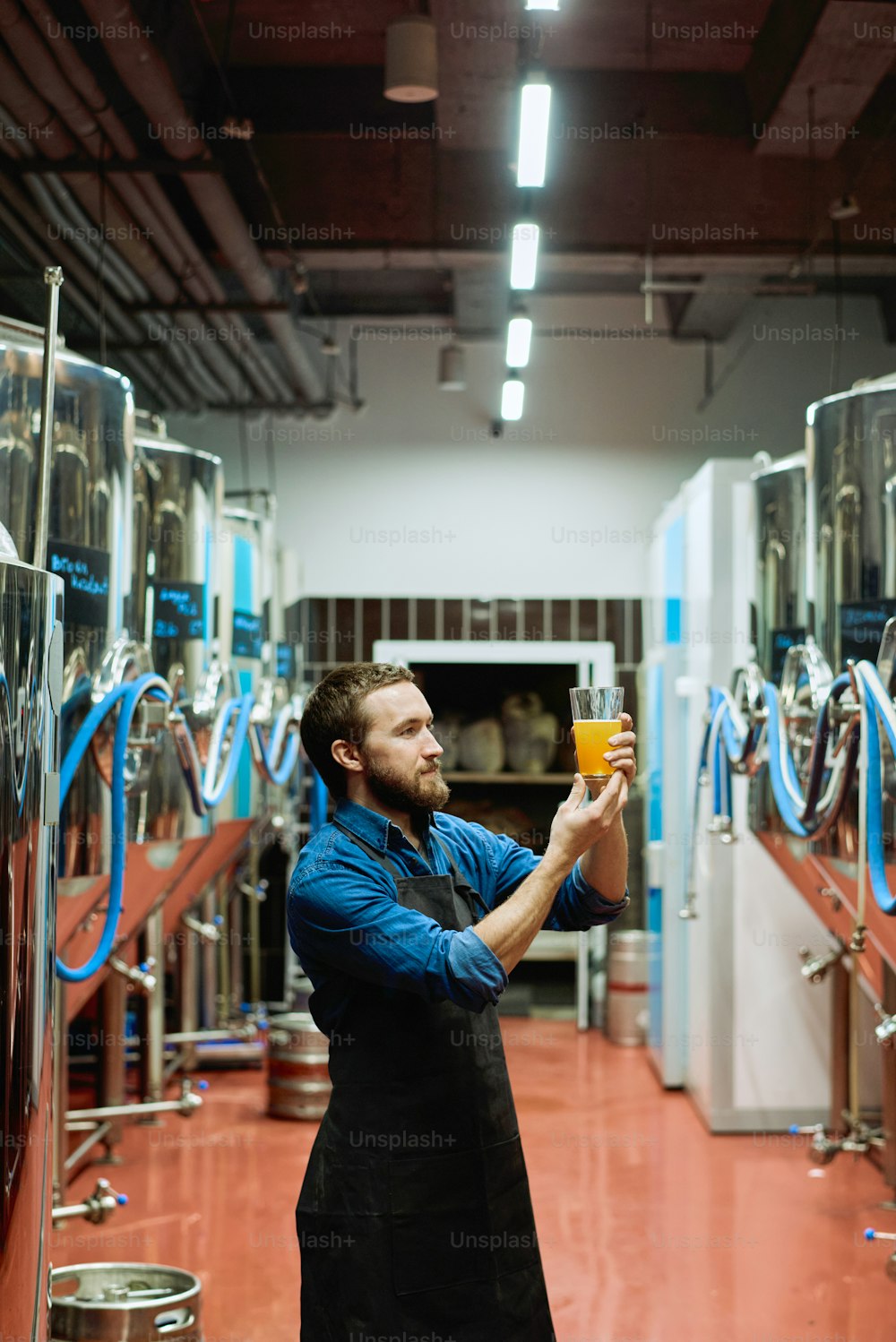 Junger bärtiger Brauer in Arbeitskleidung schaut nach der Zubereitung auf ein Glas Bier in der Hand, während er im Gang zwischen riesigen Stahltanks steht