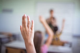 Middle group of students raising their arms to answer the question. Back view of elementary students raising their arms on a class.