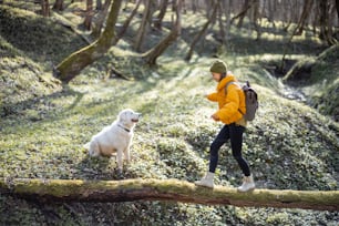 Young woman in hiking clothes and backpack spend time together with big white dog in green spring forest. Enjoys and explore of tranquil nature. Walks on a tree across the river.