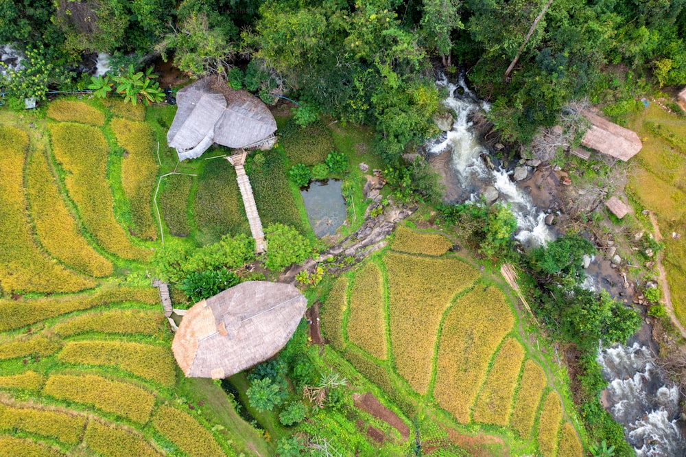 Aerial view of Giant Bamboo Hut with rice flieds in Chiang mai, Thailand.