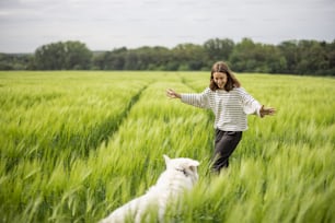 Woman with big white sheepdog walking on green rye field. Farming and countryside life.