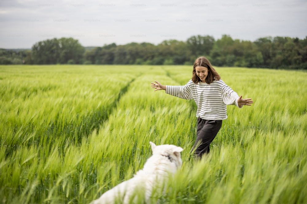 Woman with big white sheepdog walking on green rye field. Farming and countryside life.