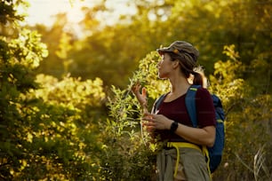 Female hiker smelling greenery with her eyes closed in nature at sunset.
