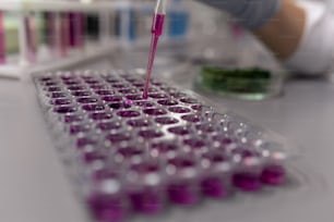 Kunststoffbehälter mit lila Flüssigkeit stehen während des Laborexperiments auf dem Schreibtisch