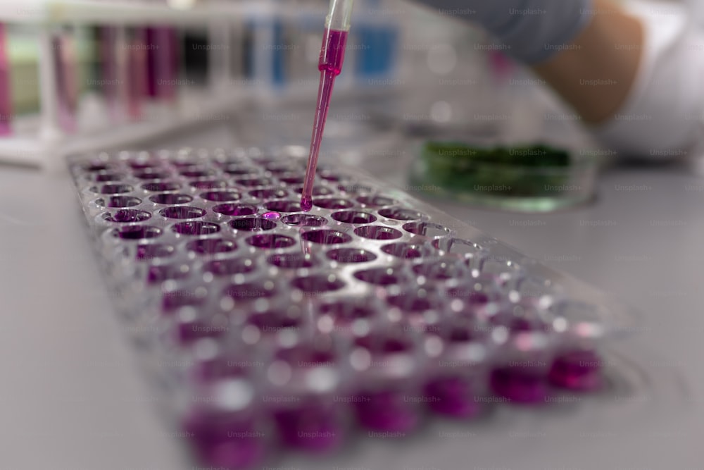 Plastic containers with purple fluid standing on desk during laboratory experiment