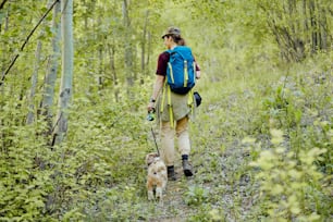 Rear view of hiker and her dog walking through the woods.