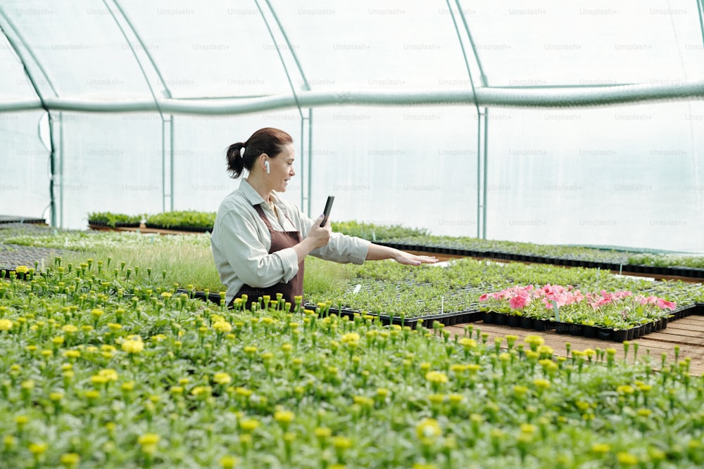 Agricultor profesional con teléfono inteligente que da curso en línea sobre el cultivo de flores en un gran invernadero