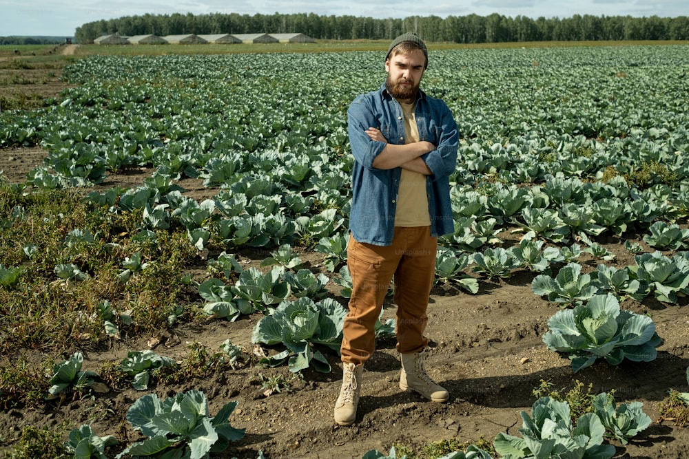 Young owner of large plantation standing among growing cabbage heads