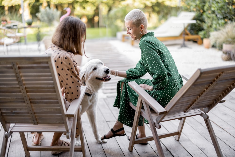Girlfriends caress dog while sitting on wooden chairs at home terrace. European girls enjoying time together. Concept of modern lifestyle. Idea of female friendship. Sunny warm daytime