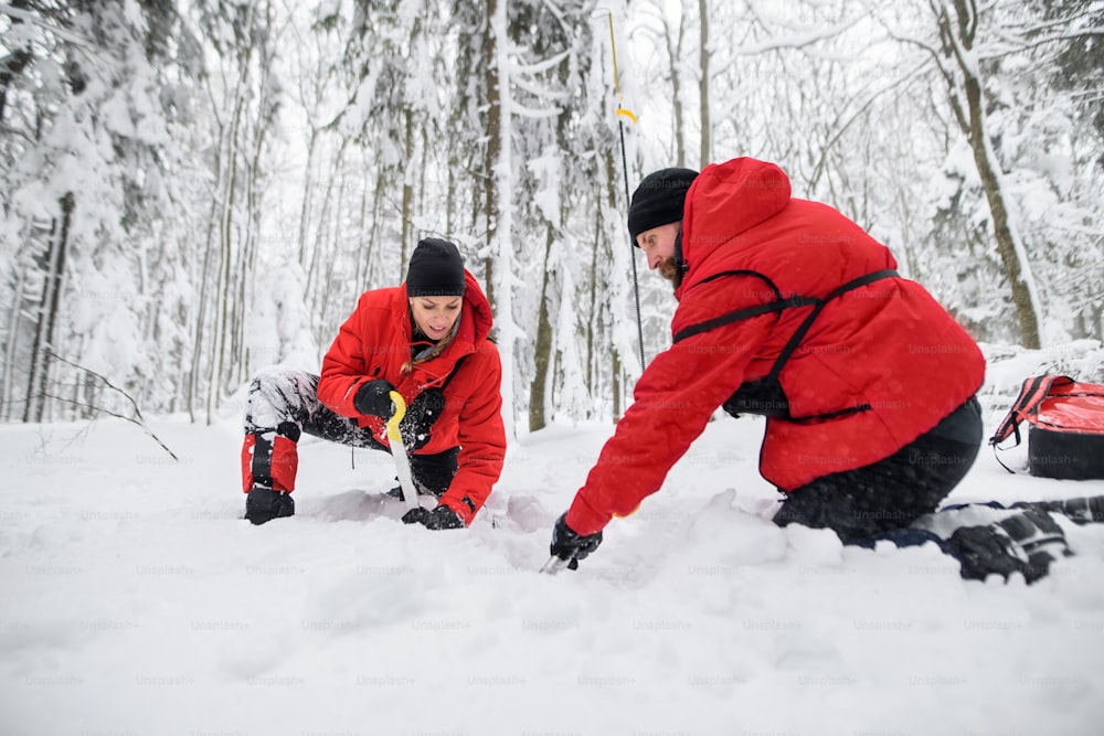 Serviço de resgate de montanha em operação ao ar livre no inverno na floresta, cavando neve com pás. Conceito de avalanche.