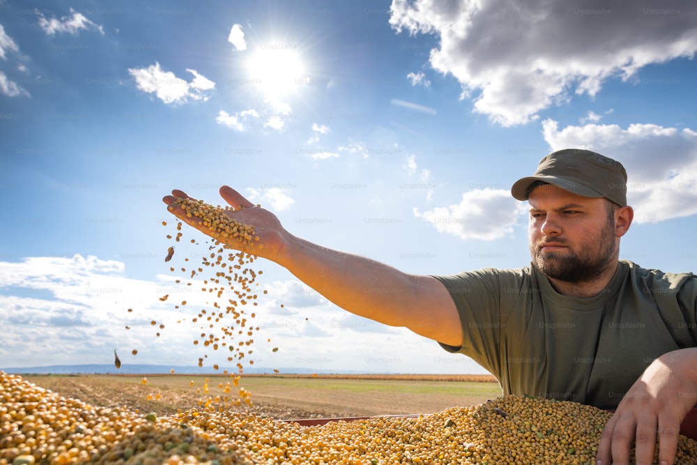 Agricultor sosteniendo granos de soja en sus manos en