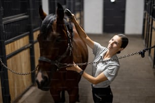 Female horseman combing mane of her brown Thoroughbred horse in stable. Concept of animal care. Rural rest and leisure. Idea of green tourism. Young smiling european woman wearing uniform