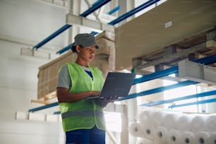 African American warehouse worker using laptop in a storage room.