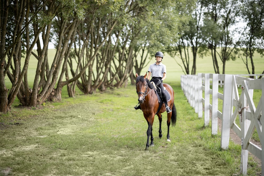 Female horseman riding brown Thoroughbred horse in green meadow in countryside. Concept of rural resting and leisure. Idea of green tourism. Young european woman. Beautiful landscape on sunny day