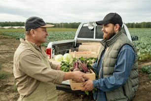 Content Asian farm worker in cap and apron giving box of fresh vegetables to young pickup truck driver