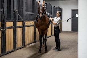 Female horseman puts ammunition on her brown Thoroughbred horse in stable. Concept of animal care. Rural rest and leisure. Idea of green tourism. Young smiling european woman wearing uniform