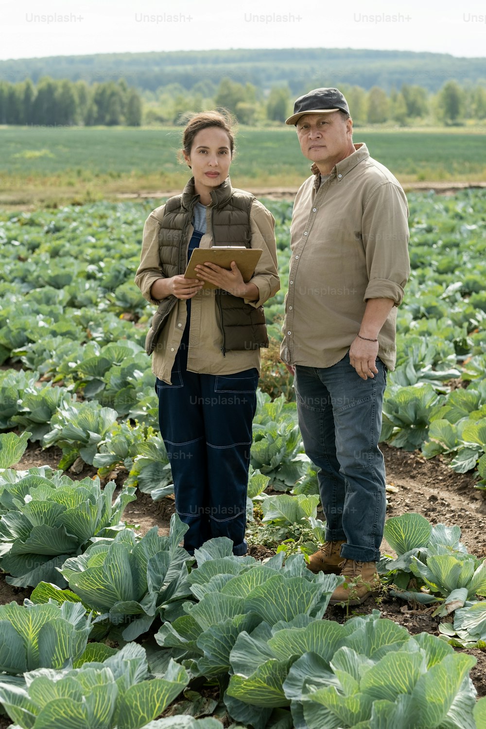 Mature and middle-aged workers of cabbage field standing on plantation and looking at camera