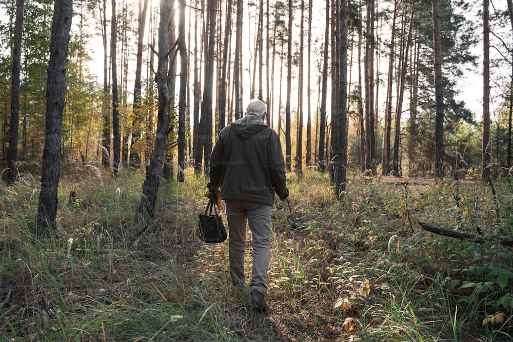 Rückansicht des entspannten älteren Mannes, der die Natur betrachtet, während er allein im Wald ist und sich an seinem Wochenende entspannt. Walking on the Open Air Konzept