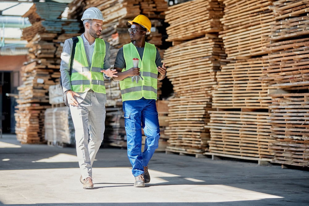 Full length of African American worker communicating with inspector while guiding him through wood warehouse. Copy space.