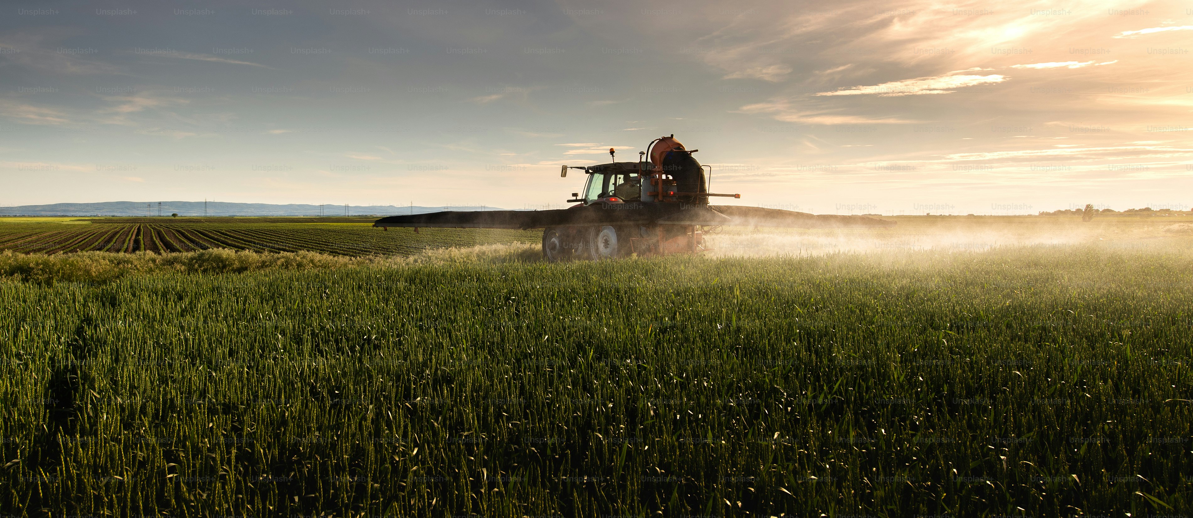 Trattore che spruzza pesticidi su un campo verde