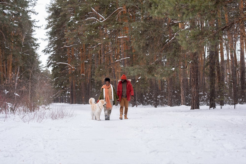 African couple enjoying the walk with their dog in winter forest during weekend
