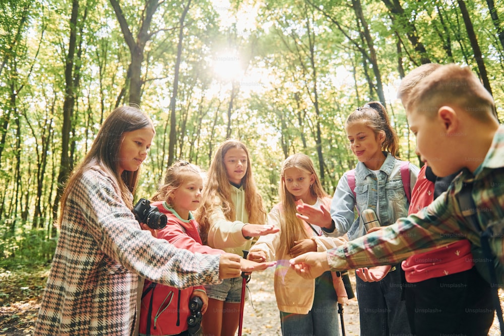 Usando el mapa. Niños en el bosque verde durante el día de verano juntos.