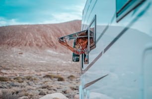 Tourism with camper van concept lifestyle. Adult woman open motorhome window and enjoy vanlife lifestyle. Travel people with vehicle. Alternative home and wanderlust life. Freedom