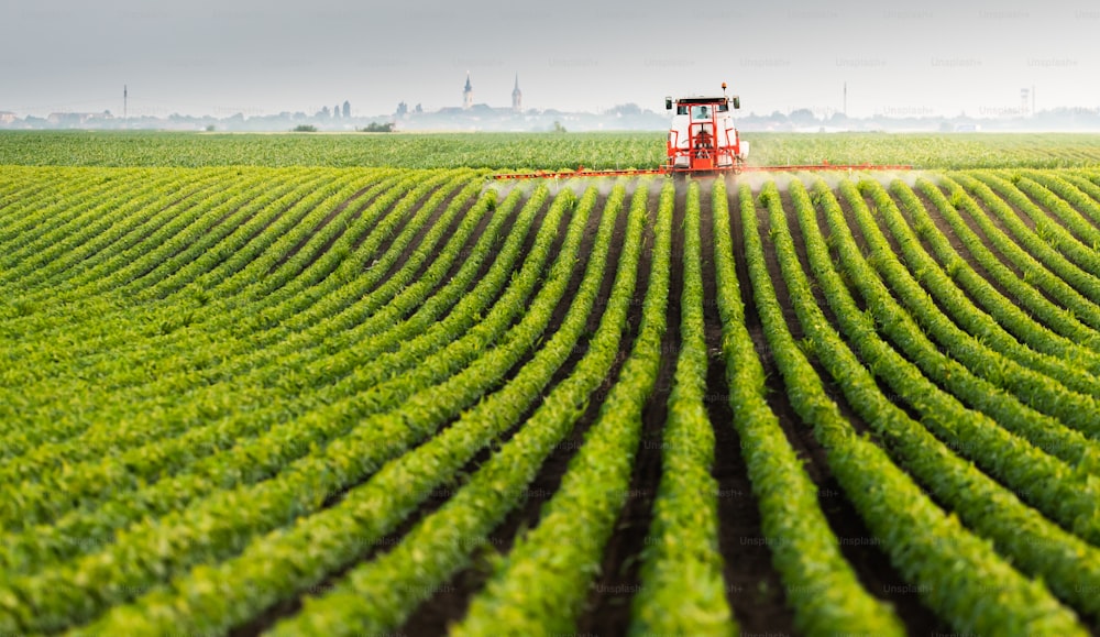 Tractor spraying pesticides on soybean field  with sprayer at spring