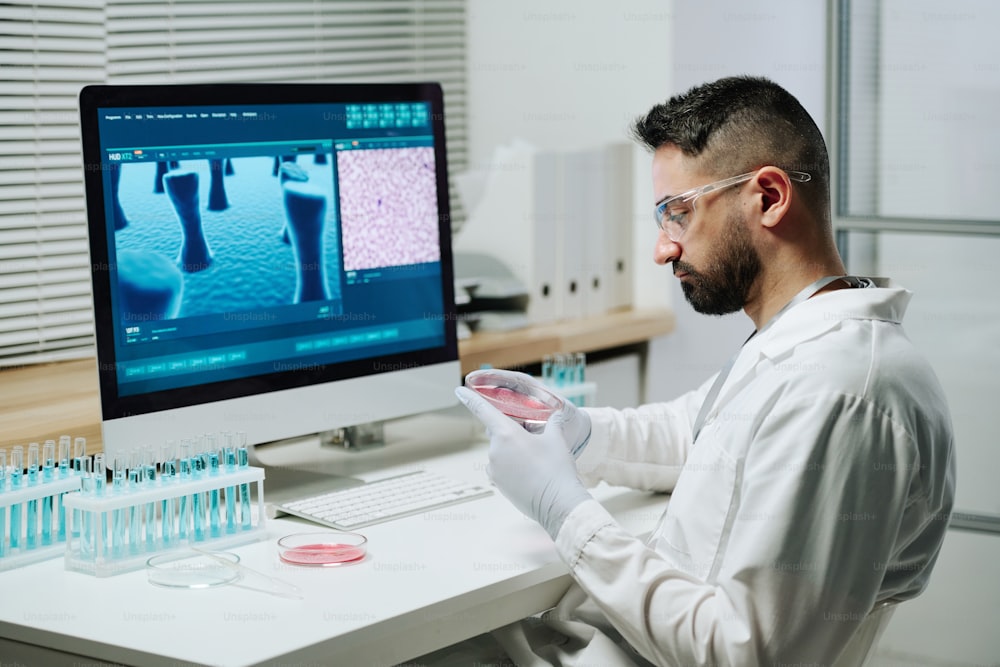 Young contemporary male scientist or virologist looking at substance in petri dish in front of screen with macro image of covid molecule