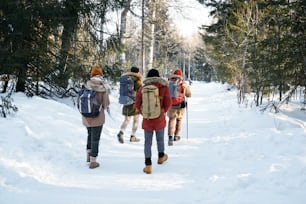 Gruppo irriconoscibile di quattro giovani che indossano zaini che camminano lungo la strada forestale in un giorno d'inverno
