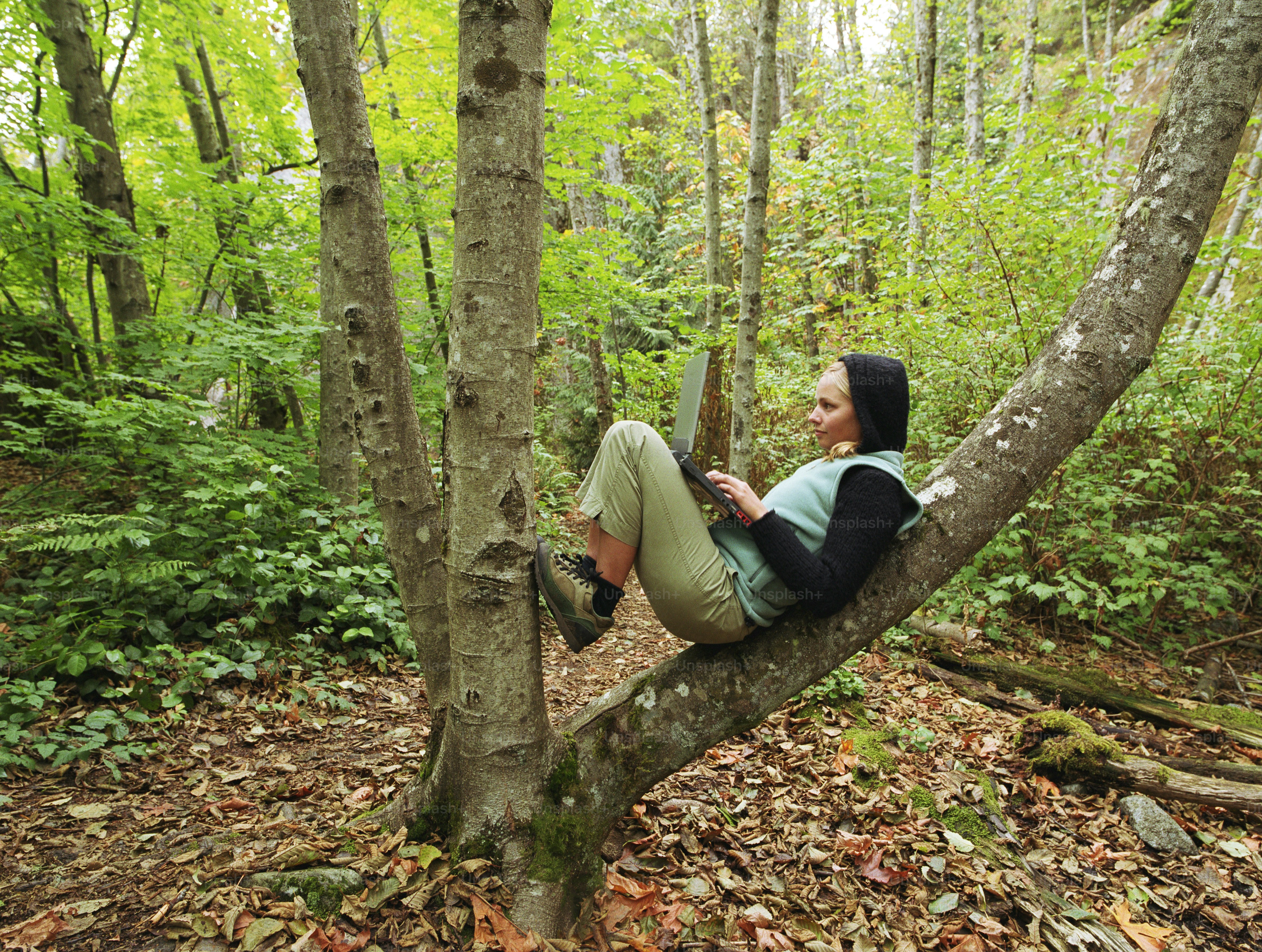 Relajante vista de la naturaleza de primer plano de texturas de fondo de  hojas de palma. patrón de naturaleza tropical, día soleado, planta natural  de verano 6240317 Foto de stock en Vecteezy, image size:3000x2263
