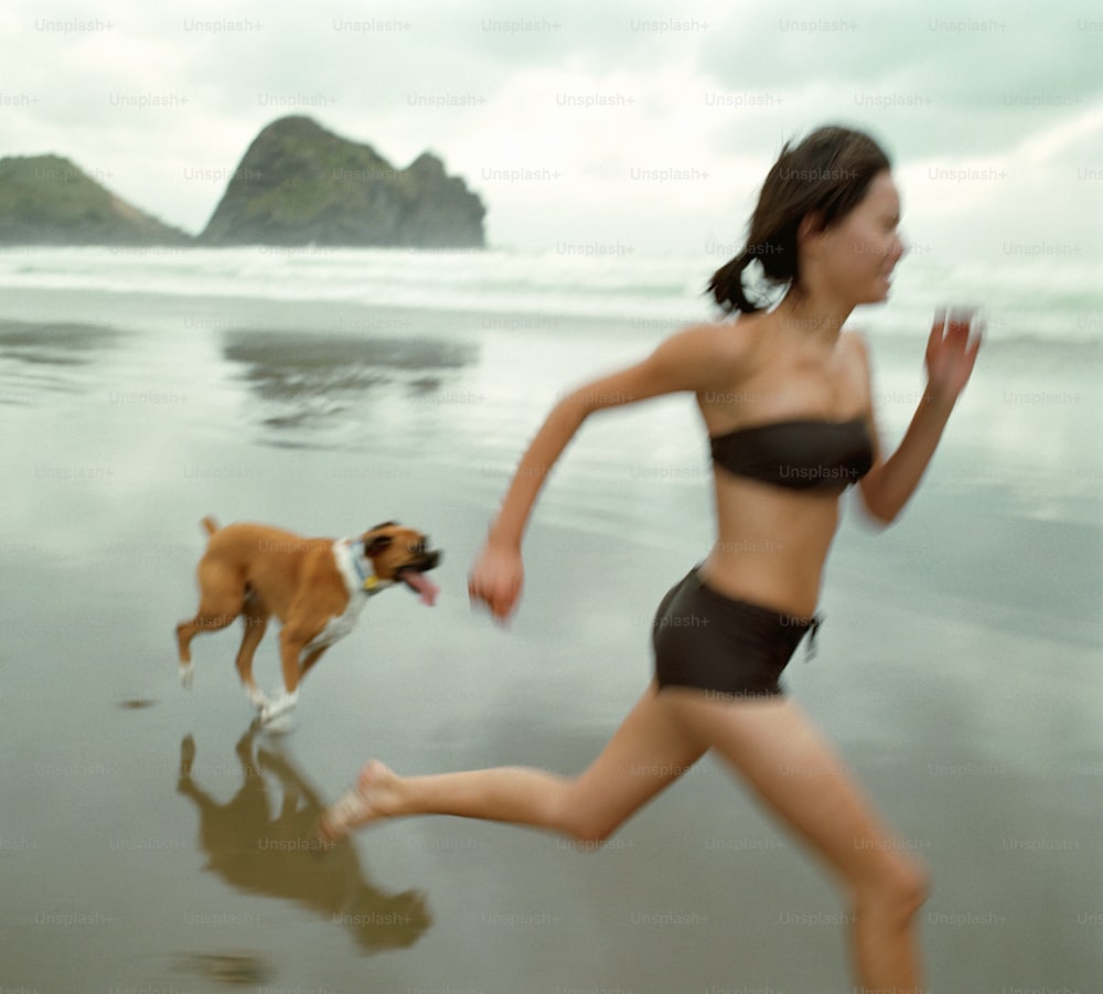 Piha Beach, North Island, New Zealand