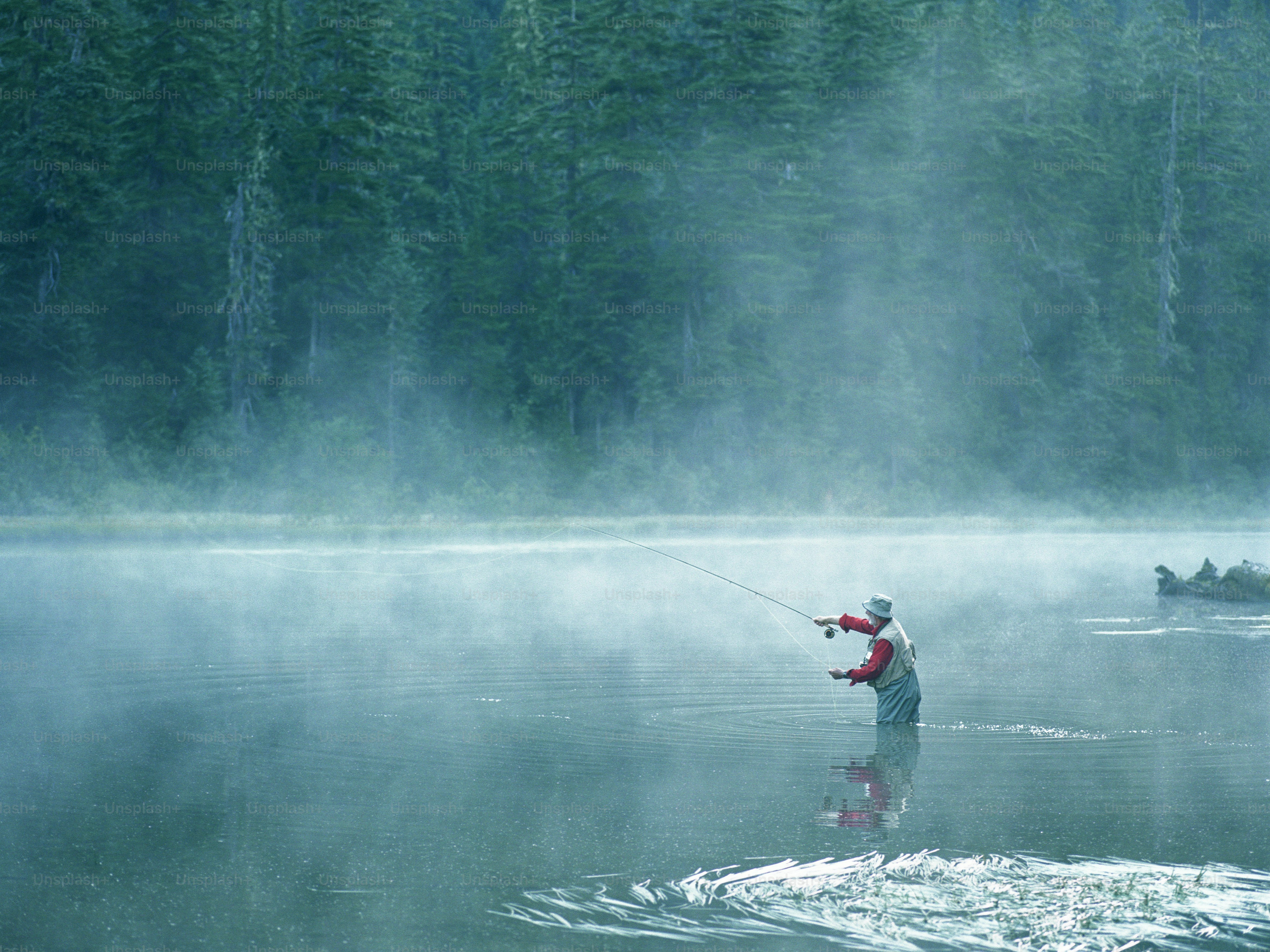500+ Fly Fishing Pictures | Download Free Images on Unsplash, image size:3000x2248