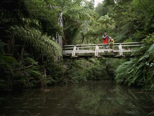 Parque Regional Waitakere Ranges, Ilha Norte, Nova Zelândia