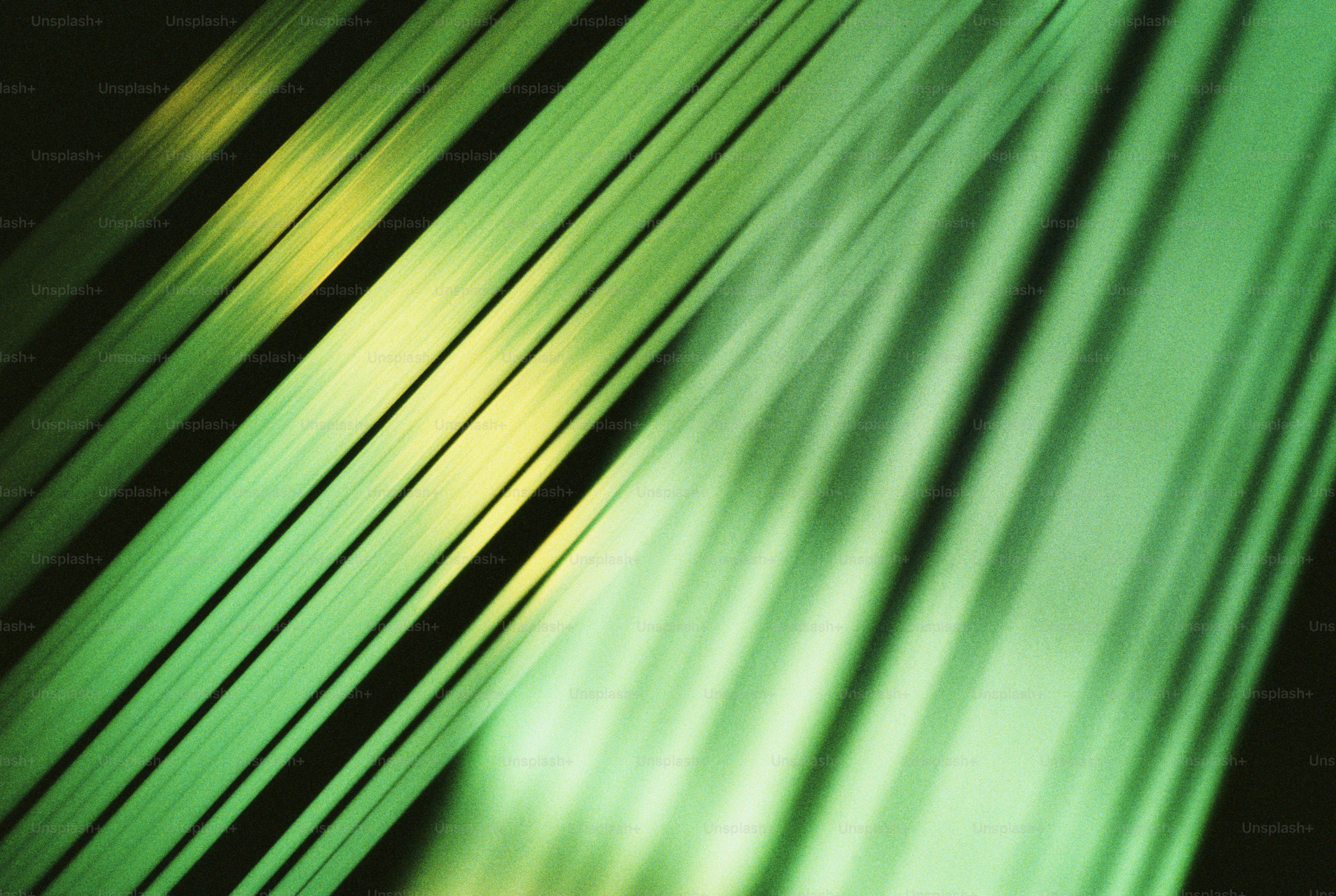 una foto sfocata di uno sfondo verde e nero