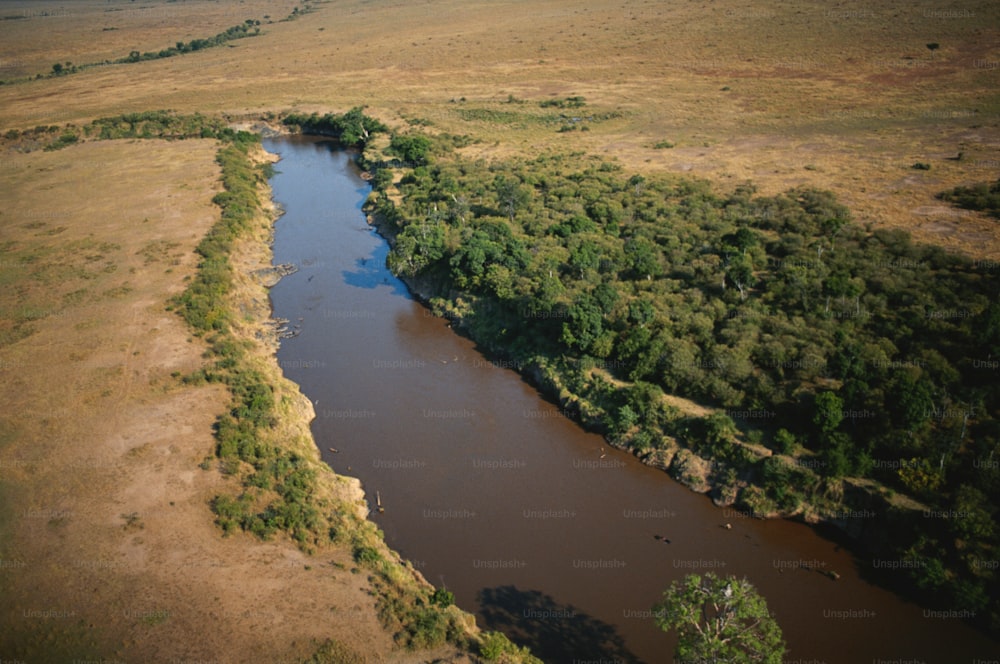 an aerial view of a river surrounded by trees