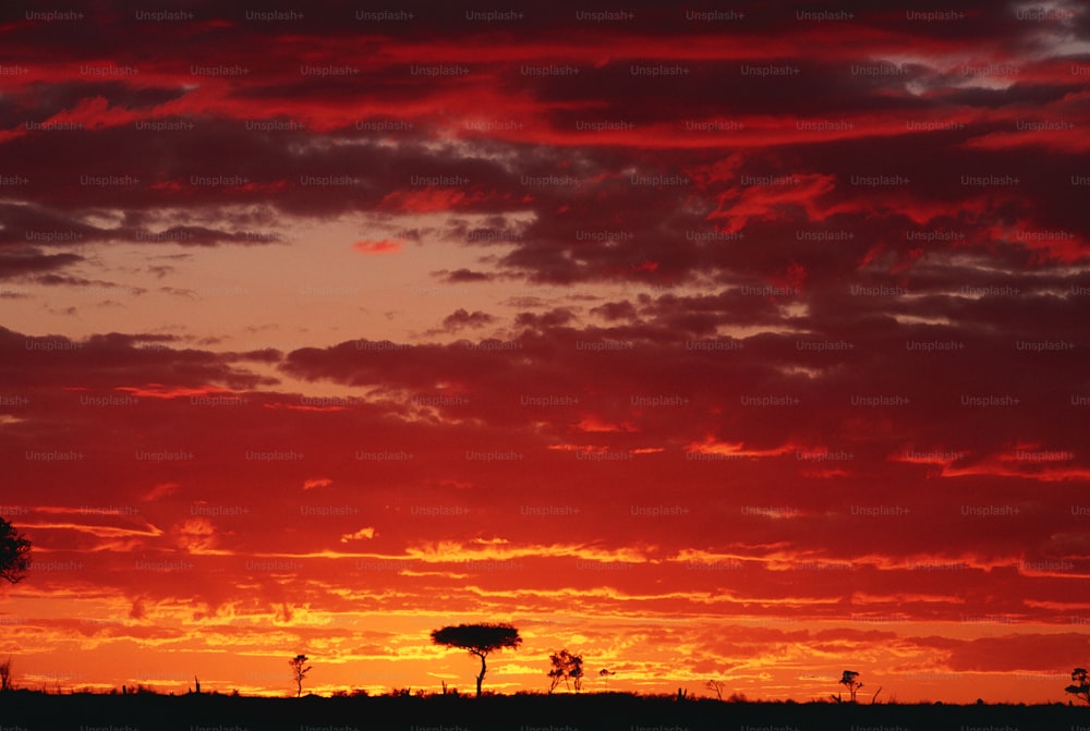 a red sky with clouds and trees in the foreground