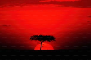 Le soleil se couche derrière un arbre solitaire