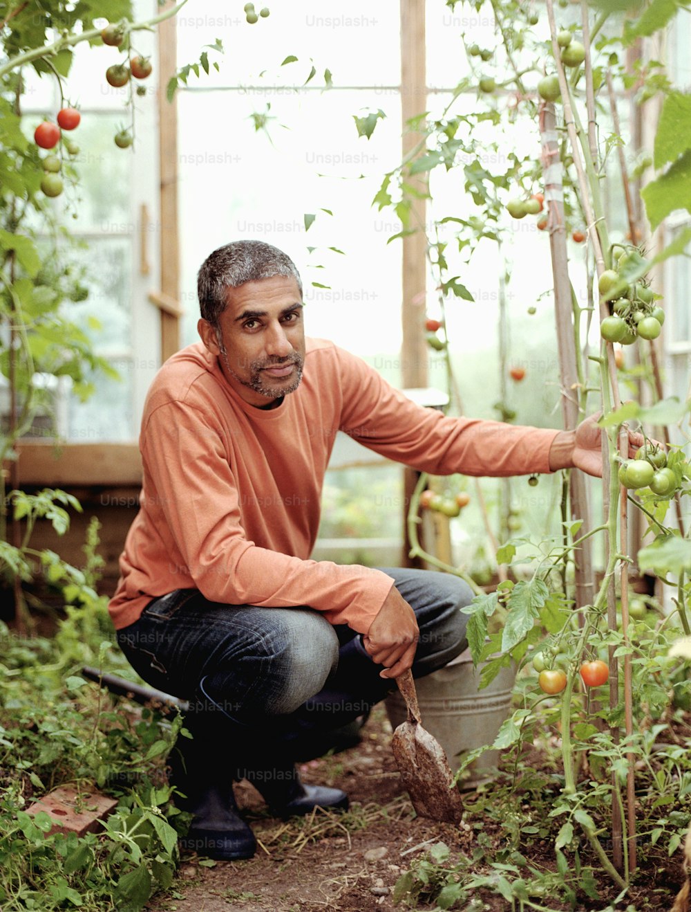 a man kneeling down next to a bush filled with tomatoes