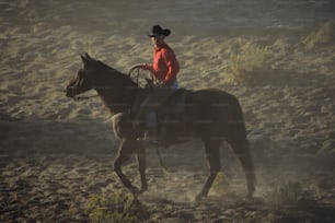 um homem montado no lombo de um cavalo marrom