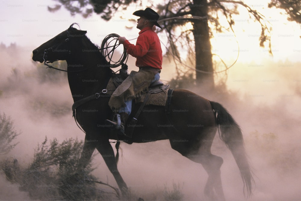 Ein Mann, der auf dem Rücken eines braunen Pferdes reitet