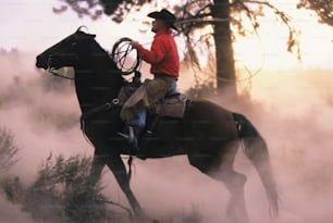 Un hombre montado en el lomo de un caballo marrón