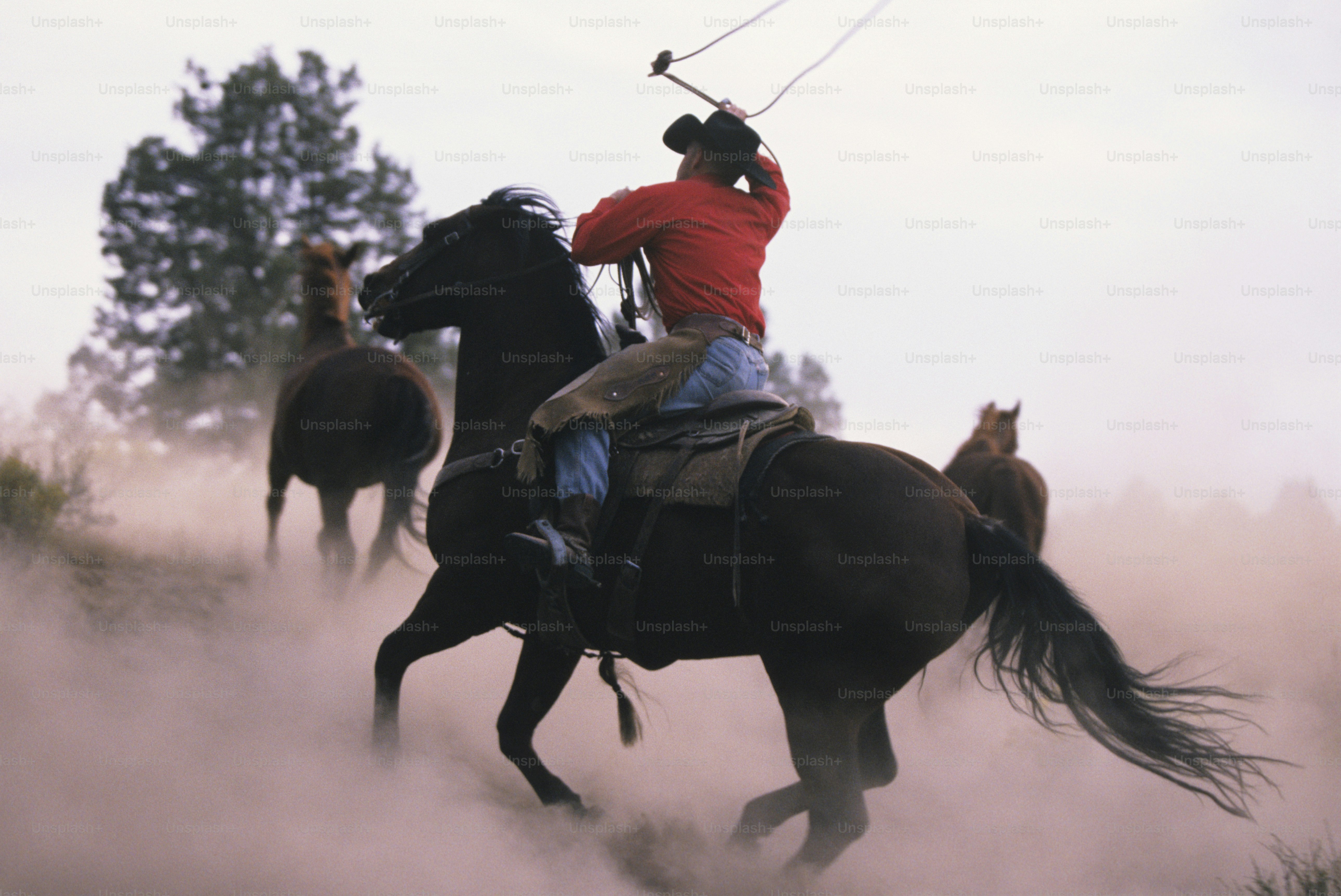 a man riding on the back of a brown horse