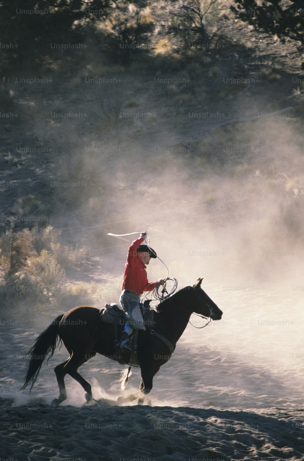 a man riding on the back of a brown horse